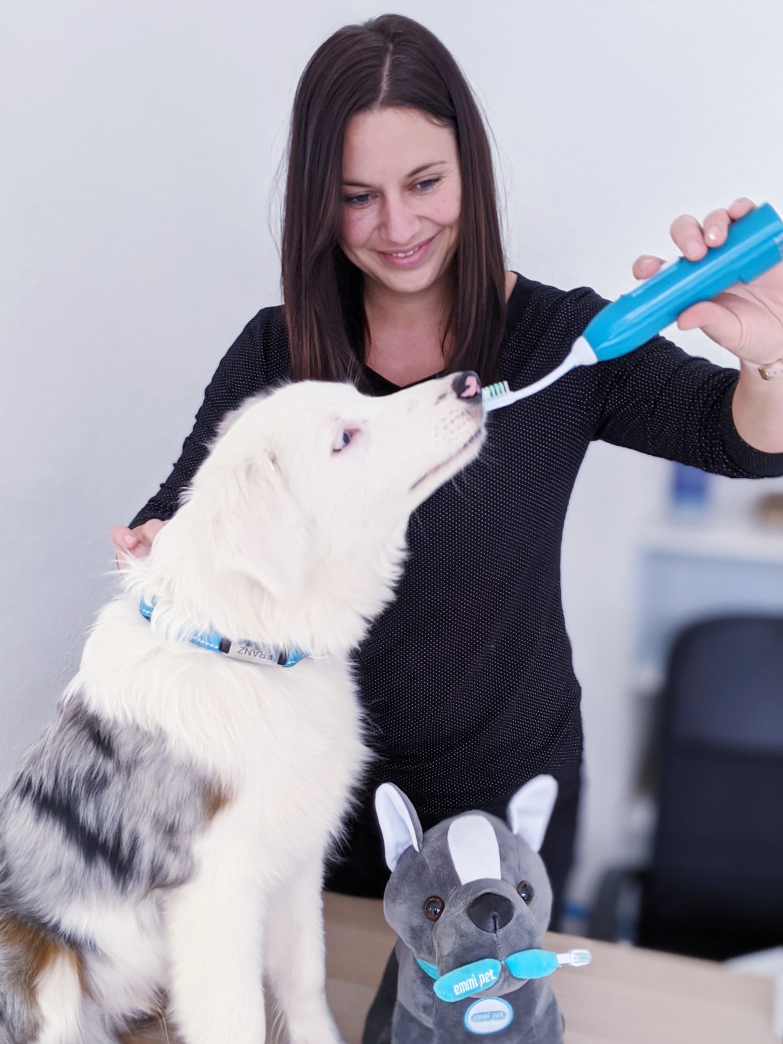Zahnreinigung Praxis für Tierphysiotherapie